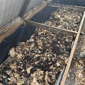 Vermicomposting in Carrboro