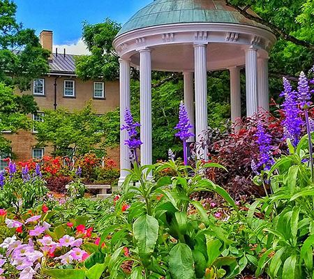 Chapel hill flowers