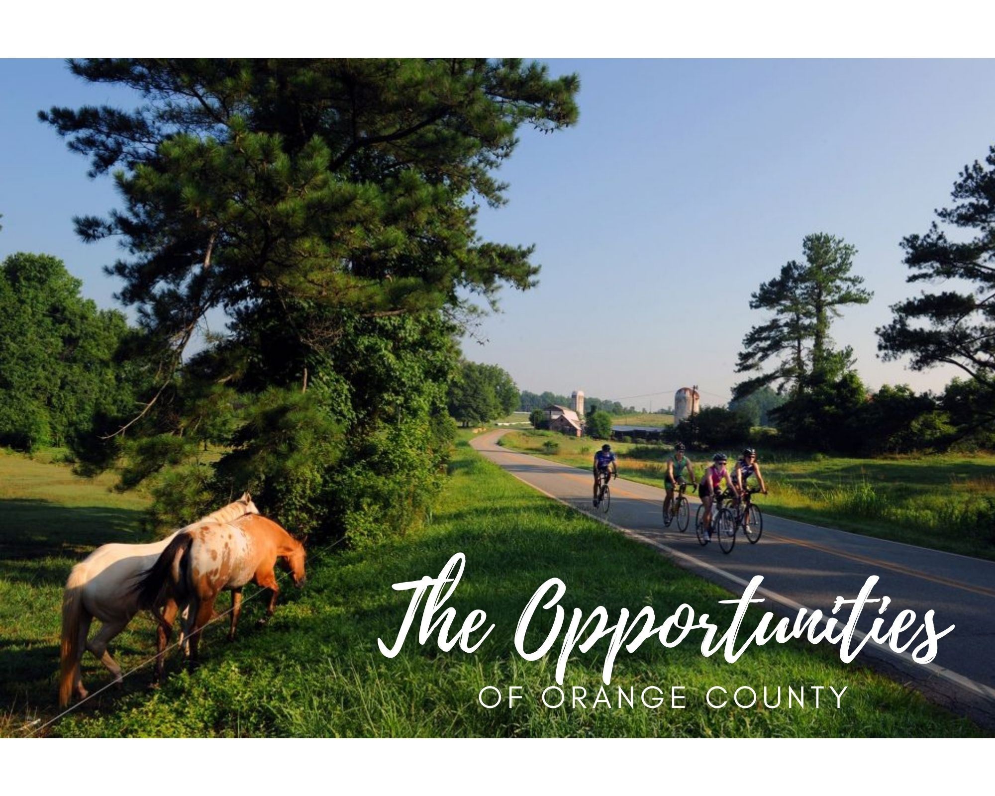 Rural Orange County Photo