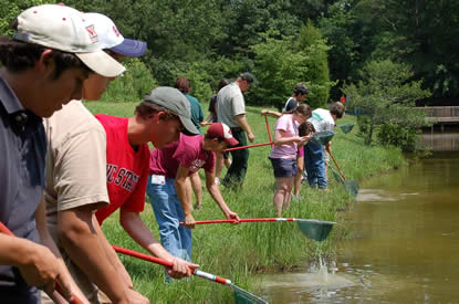 photo of macroinvertebrates at resource conservation workshop