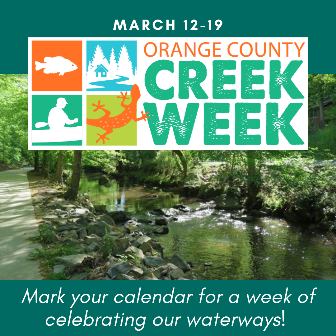 Creek Week - Save the Date graphic