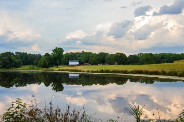 Blackwood Farm Pond