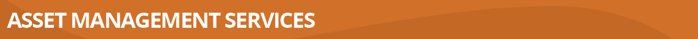 ASSET MANAGEMENT SERVICES