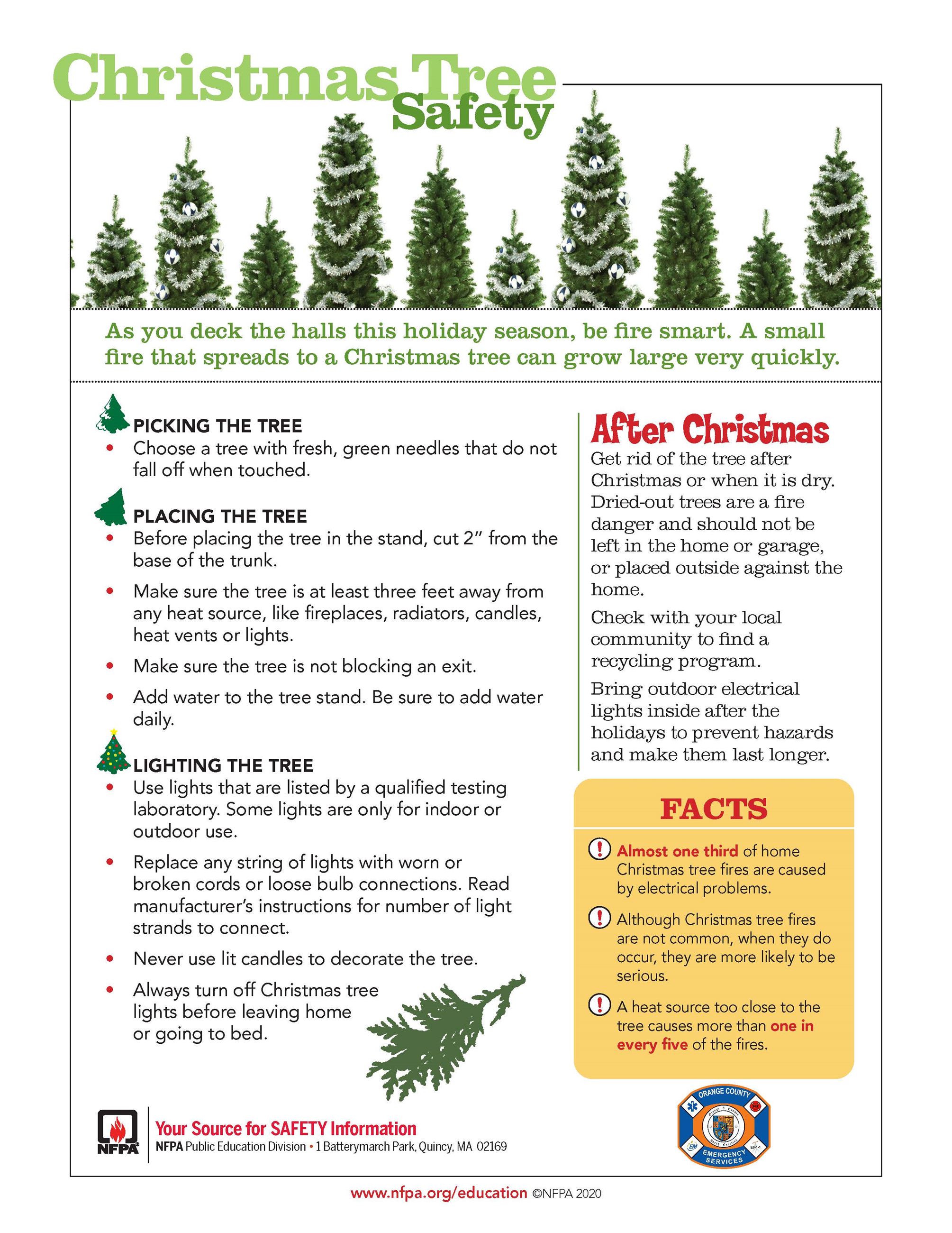 Christmas Tree Safety Tips Preview with Link to PDF