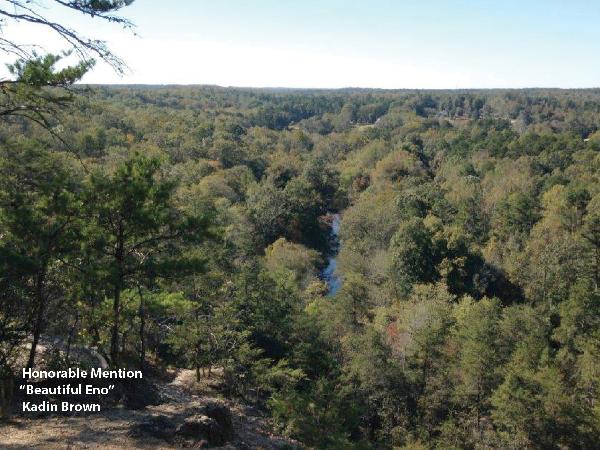 Beautiful Eno wooded area