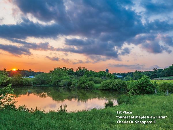 Sunset at Maple View Farm