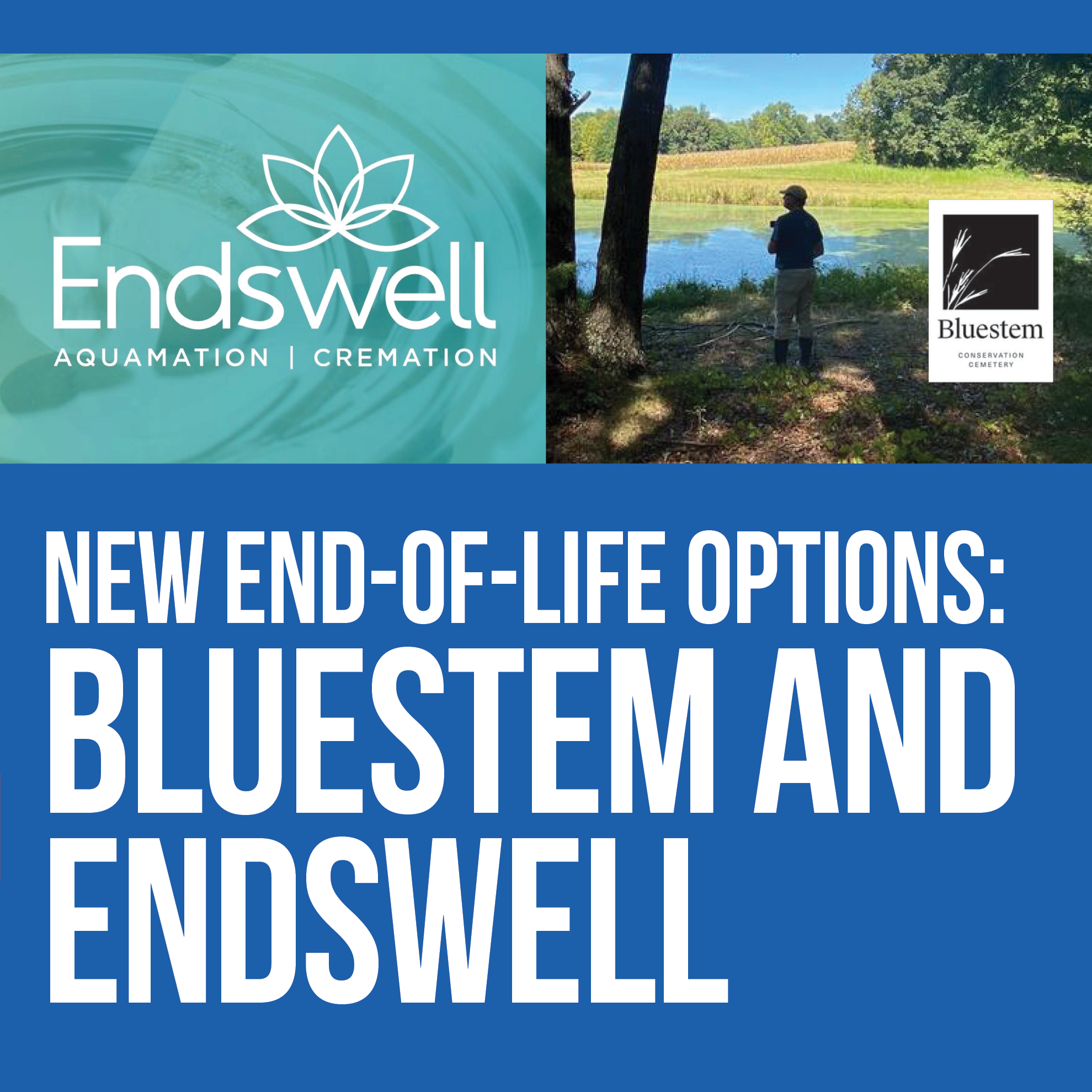 BLUESTEM ENDSWELL 950x950