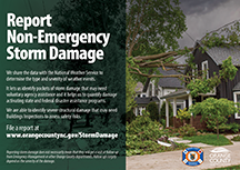 thumbNON-EMERGENCY REPORTS 1344X950 english