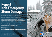 thumbNON-EMERGENCY REPORTS-winter 1344X950 english