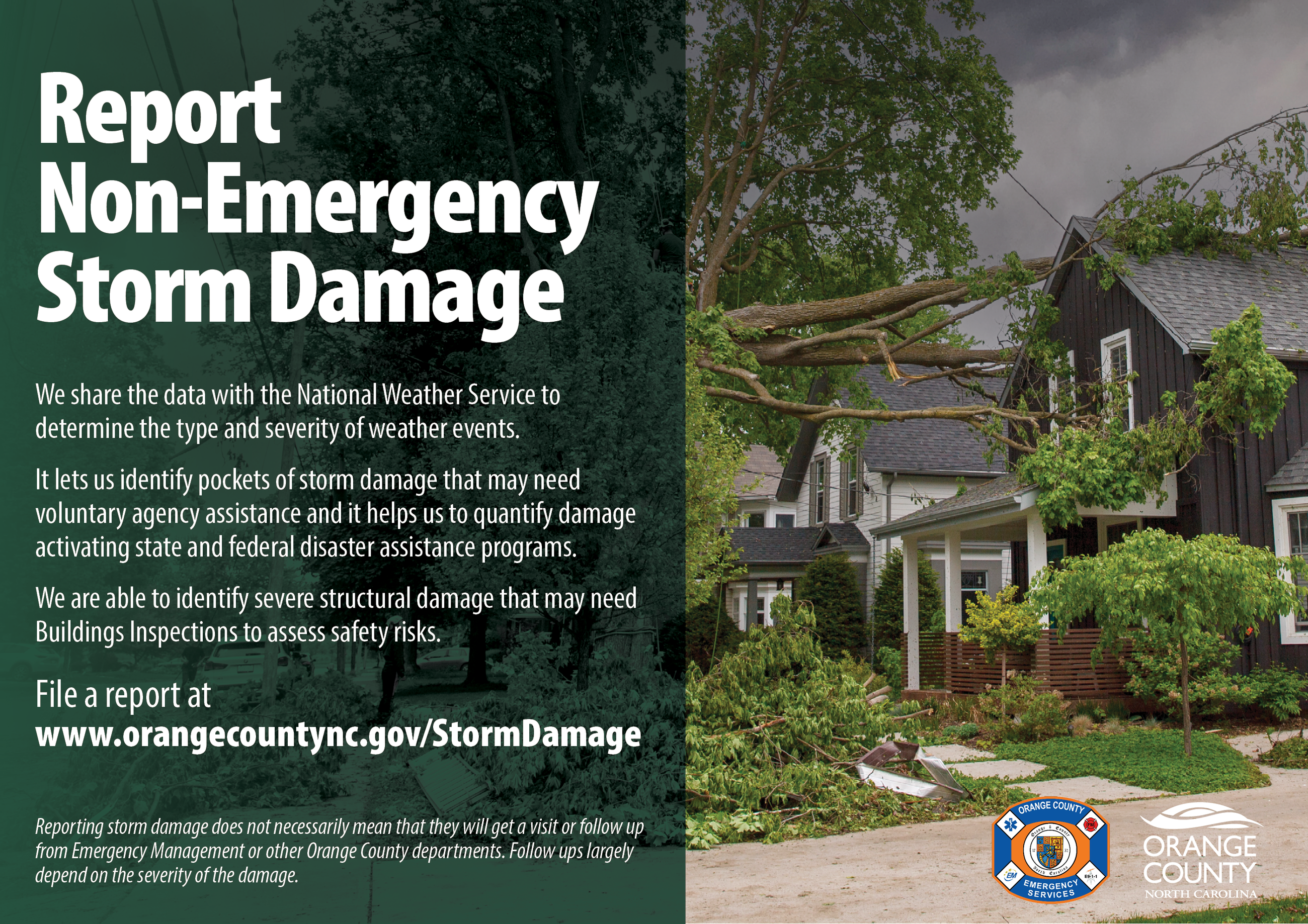 NON-EMERGENCY STORM DAMAGE REPORTS 