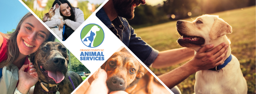 Photos of dogs having fun with people and Orange County Animal Services logo