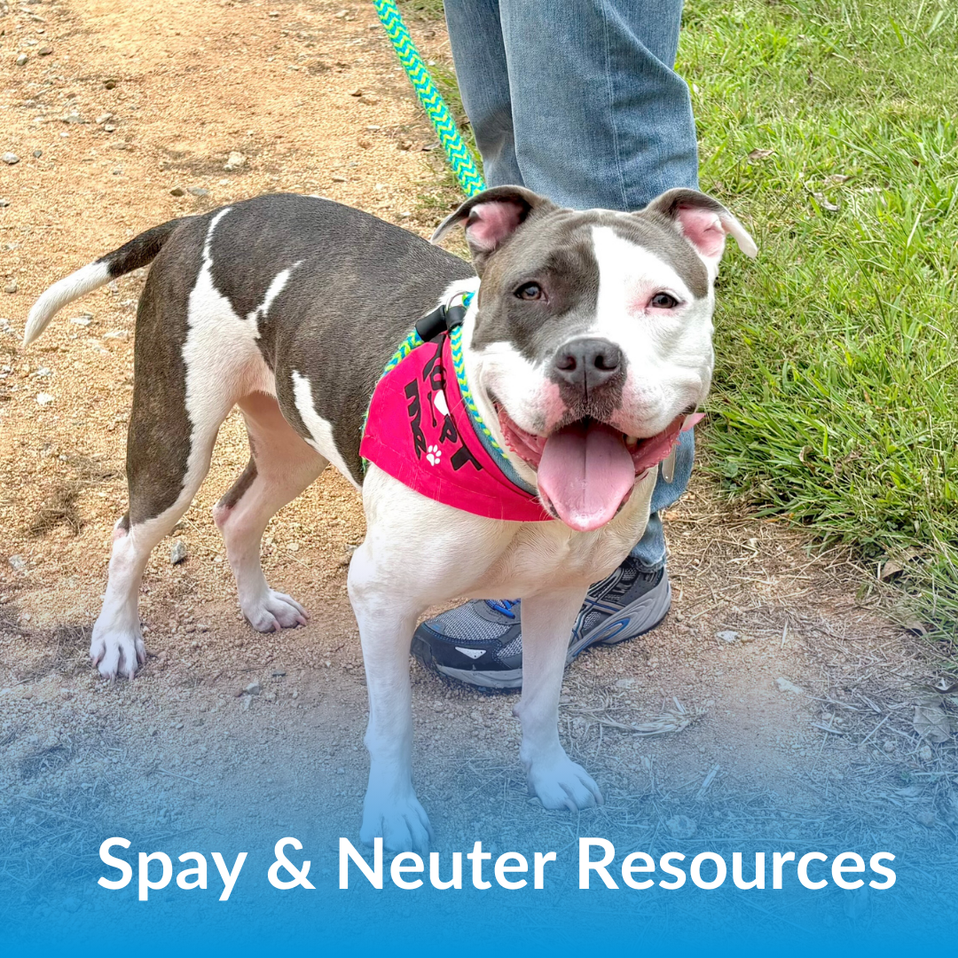 Spay Neuter Resources