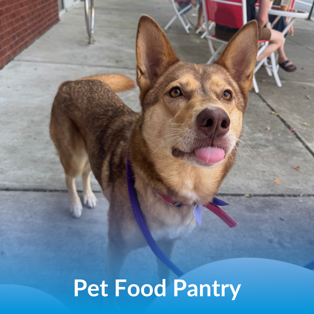 Pet Food Pantry