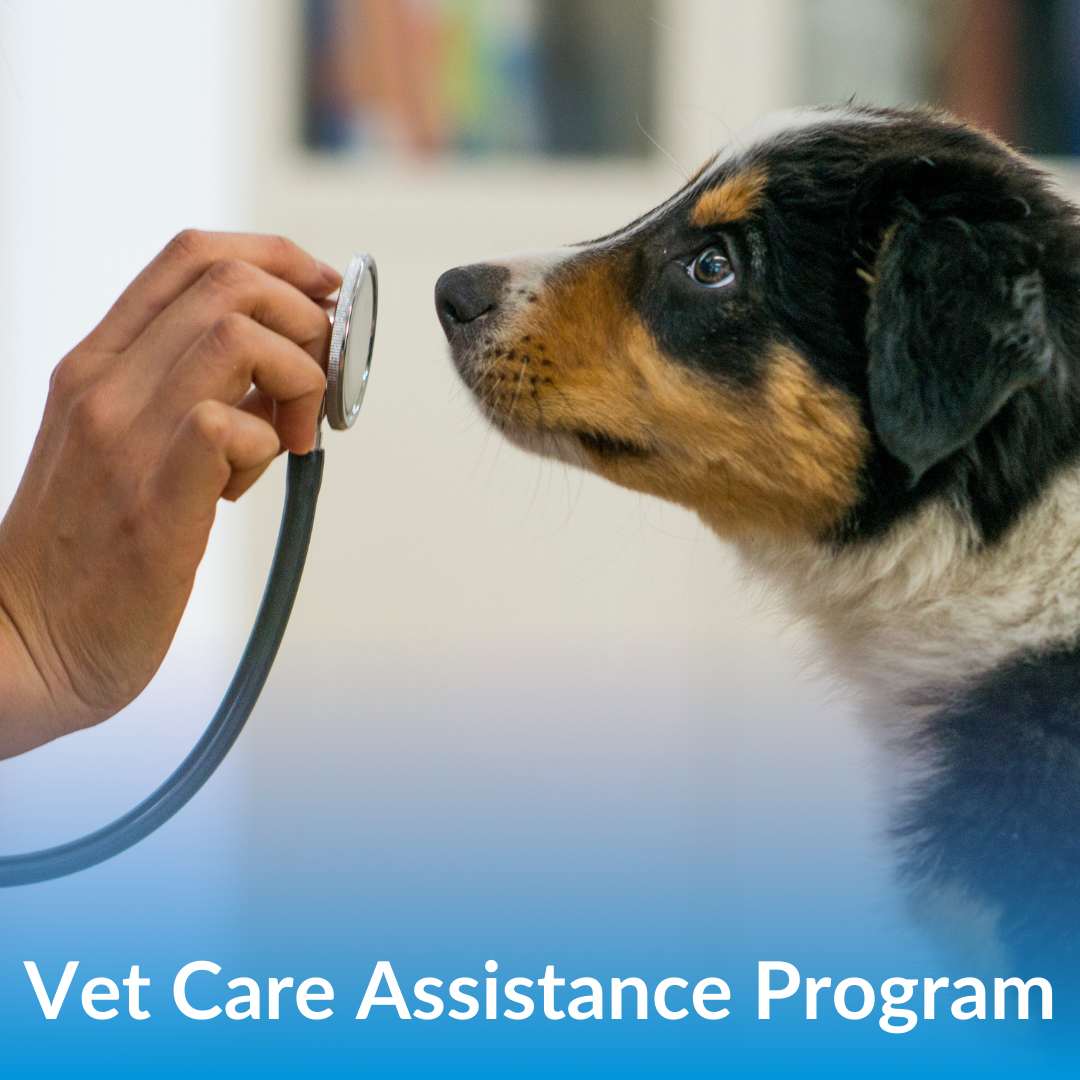 Vet Care Assistance Program