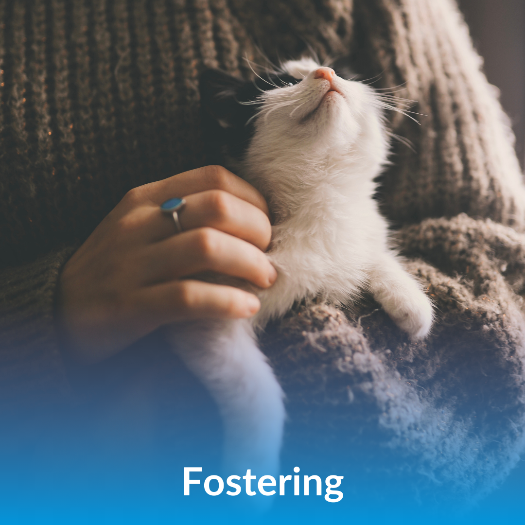 Fostering
