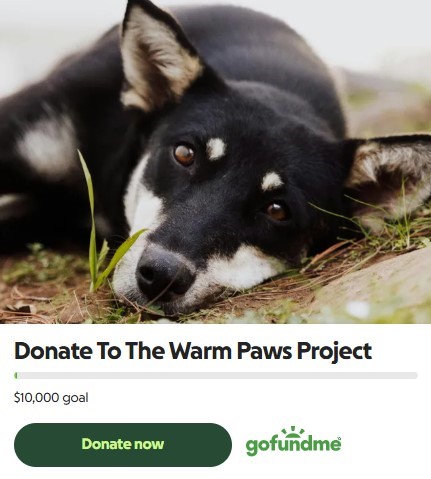 Use GoFundMe to donate and help keep animals in our community warm this winter. 