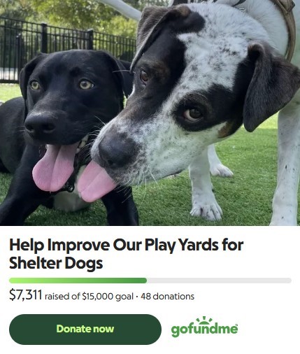 Use GoFundMe to donate towards improving our play yards for shelter dogs.