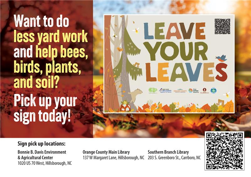 Promotional flyer for the Leave Your Leaves program encouraging residents to leave fallen leaves in 