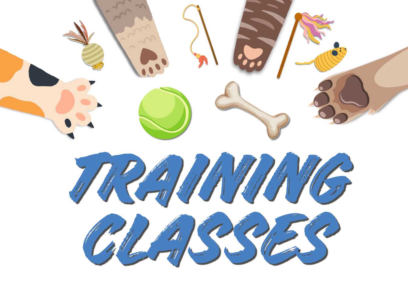 Training classes. Images of dog paws, cat paws, and pet toys.