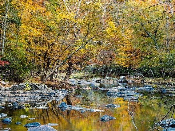 Nature of Orange winning photograph of beautiful scene in Orange County