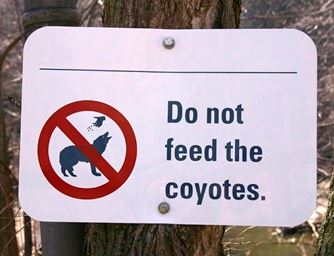 A sign that says Do Not Feed the Coyotes