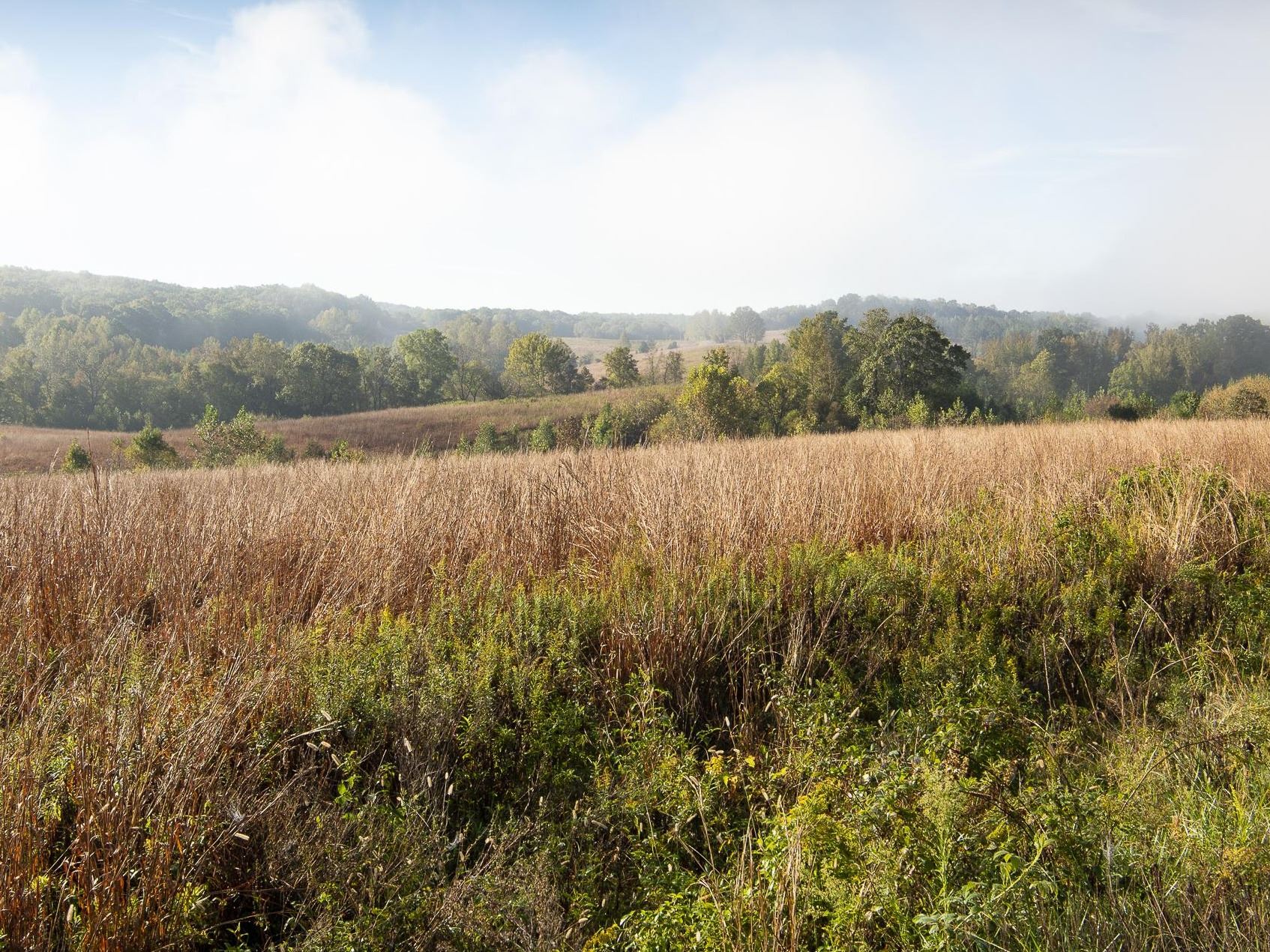 Photo of Orange County landscape