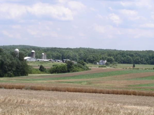 Farmland