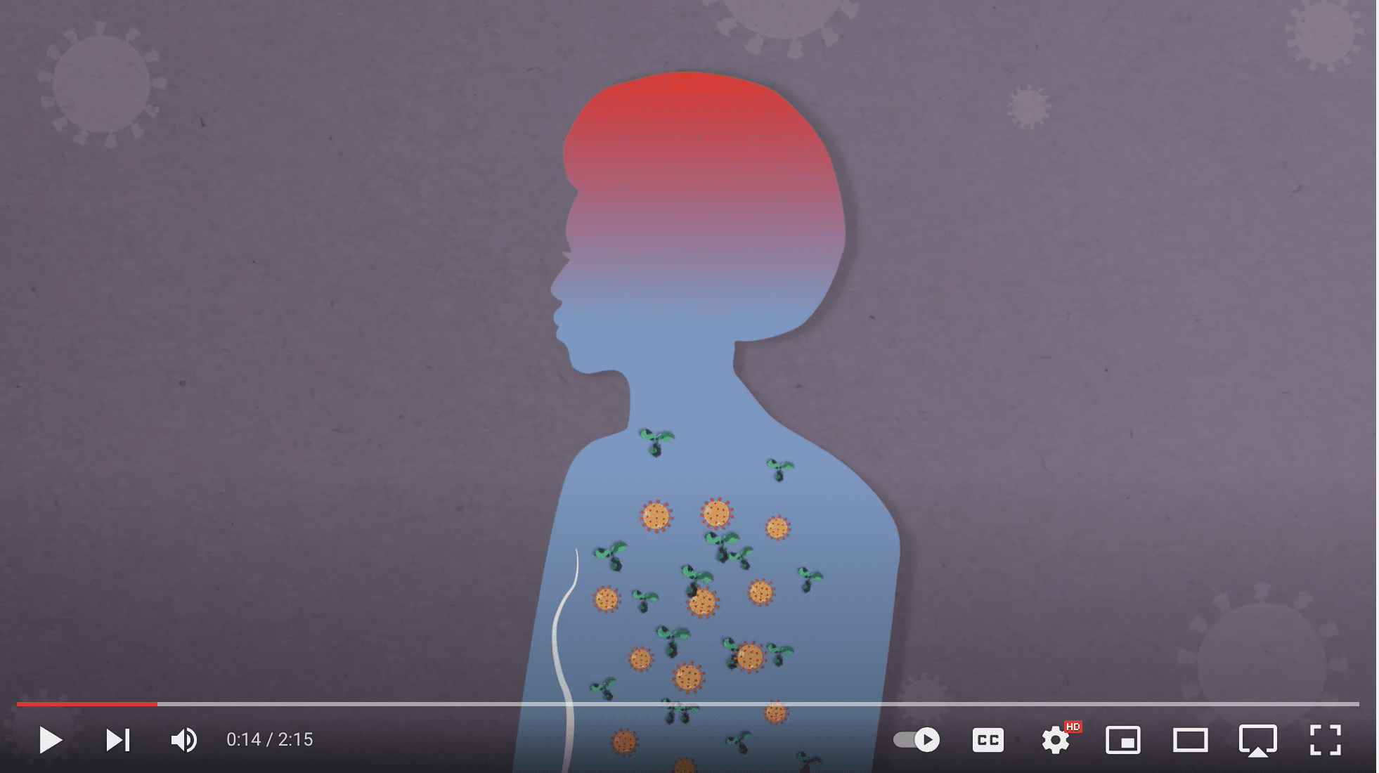 screen grab of video