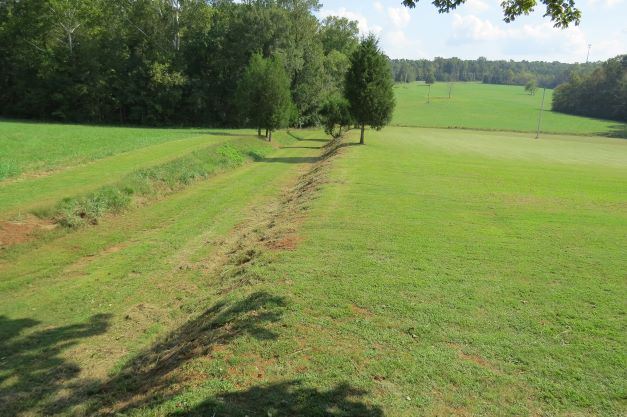 Photo of Blackwood Farm Park