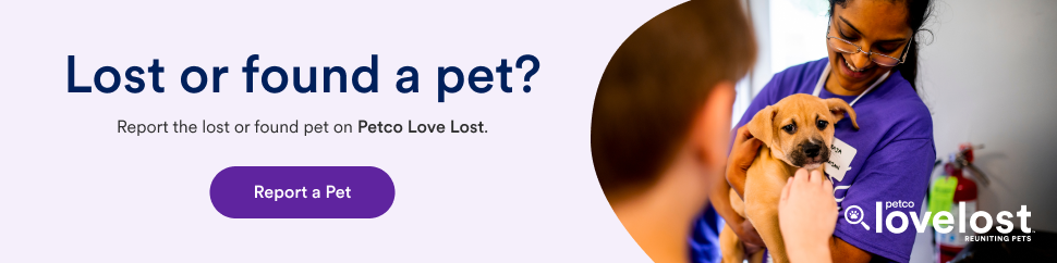 Image and link to Petco Love Lost: report lost & found pets, search for lost and found pets