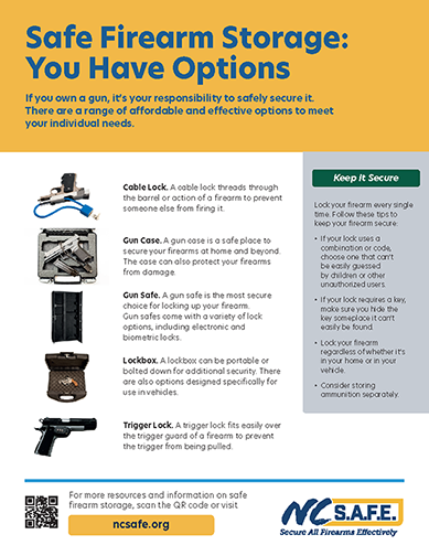 Safe Firearm Storage Options English