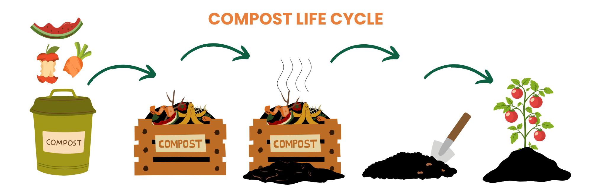 Compost bin leading to a compost bin leading to finished compost growing a tomato