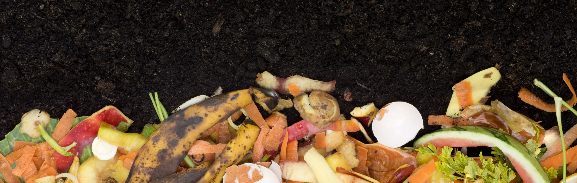 Food scraps in front of soil