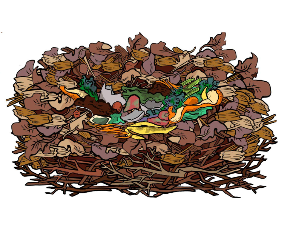 Food scraps in a nest of brown leaves