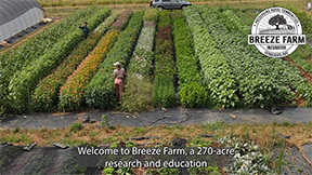 breeze_farm_thumb_website