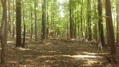 A look at the crime scene today.