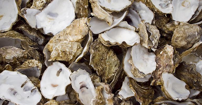 Oysters
